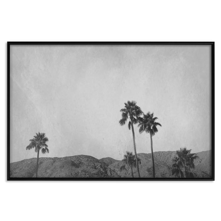 Poster Hot Summer - black and white landscape with palm trees against a mountain range