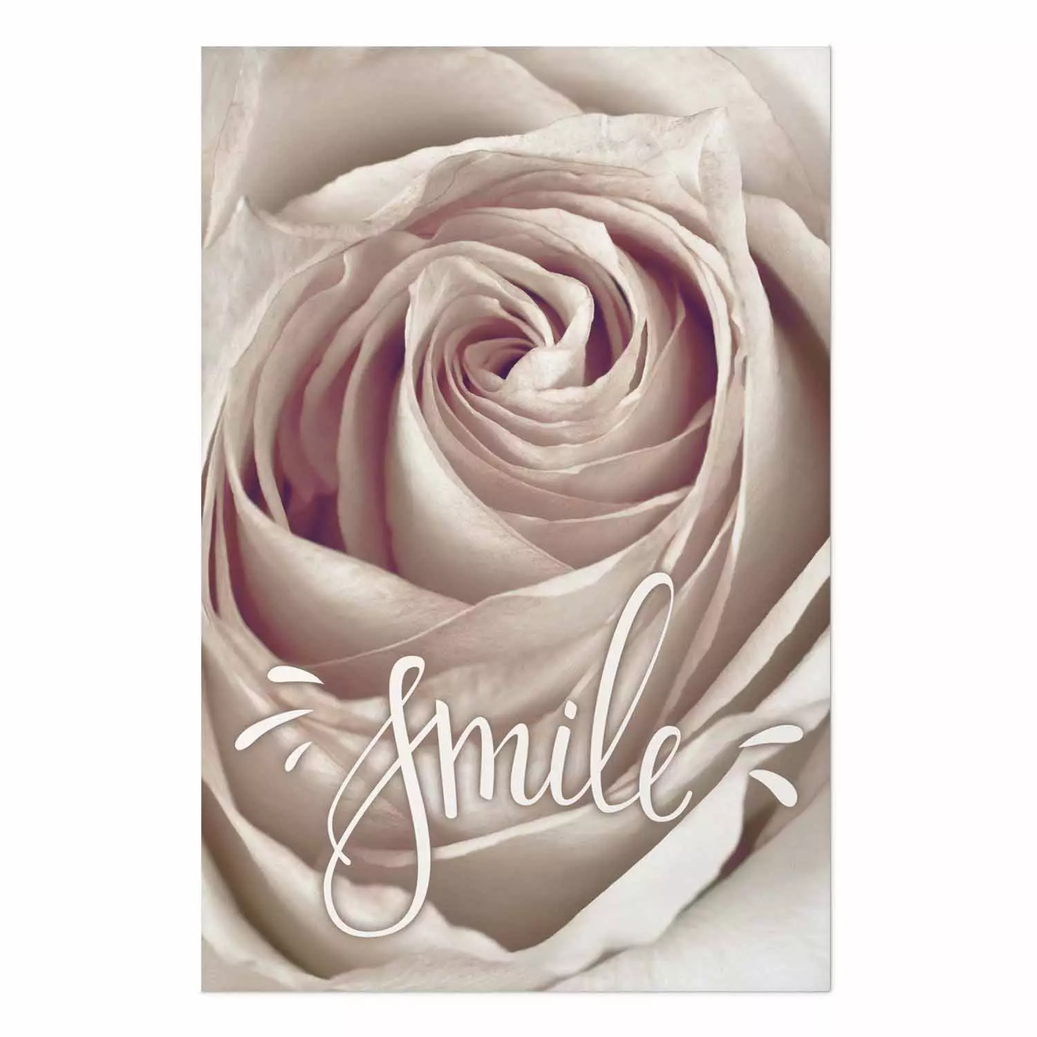Wall Poster Smile! - light pink rose flower and white English text