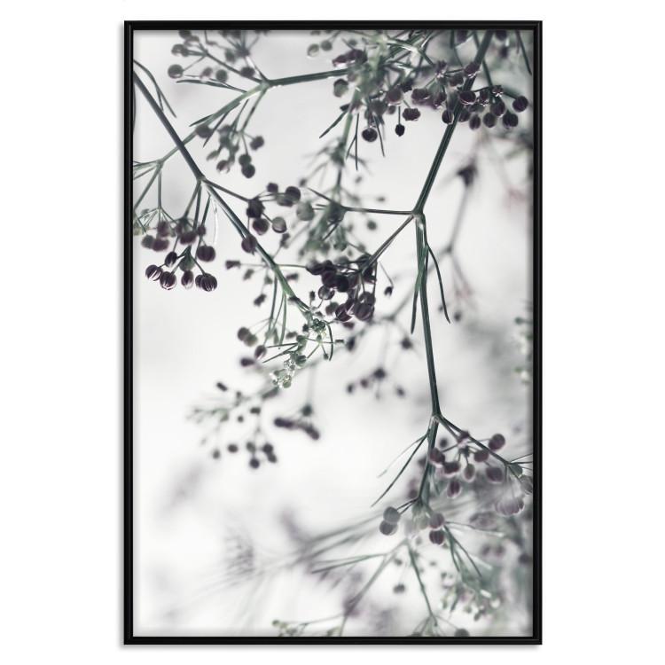 Poster Blooming Twigs [Poster]