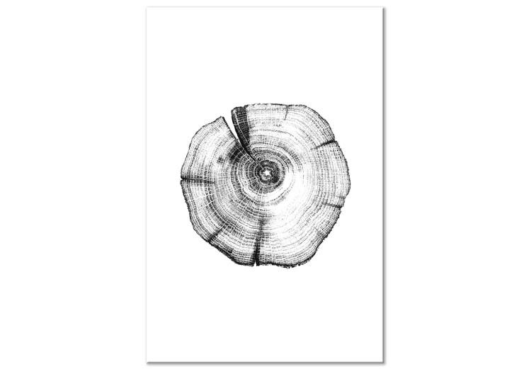 Canvas Tree rings - black and white, cross-section of the tree trunk