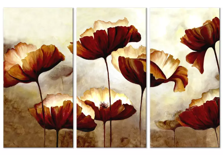 Canvas Shining Poppies (3 Parts)