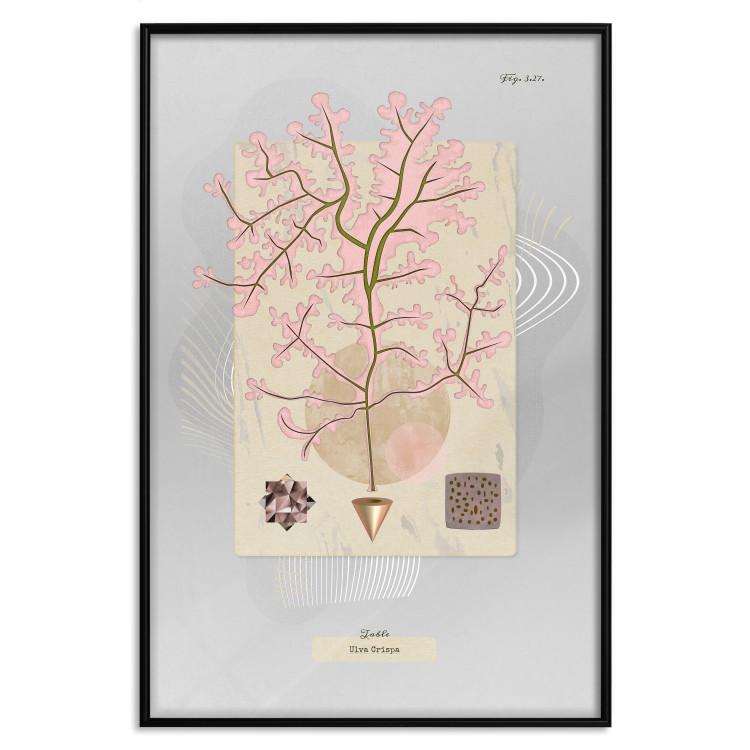 Poster Mysterious Little Tree - abstraction with texts and a plant in pale colors