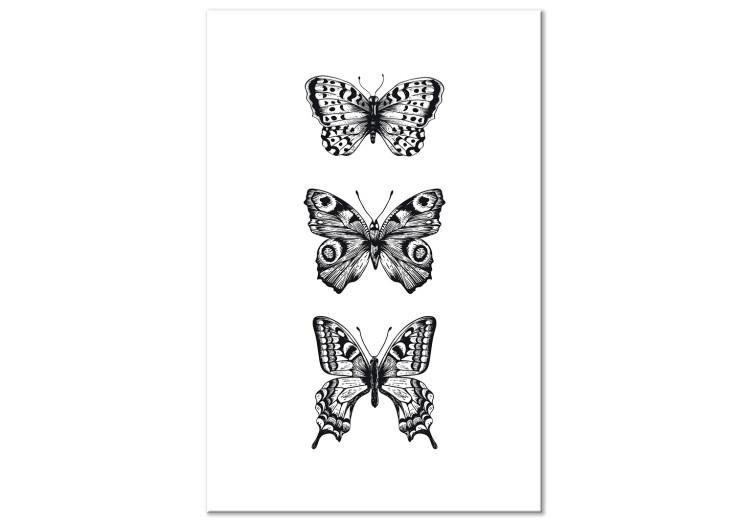Canvas Three Butterflies (1 Part) Vertical