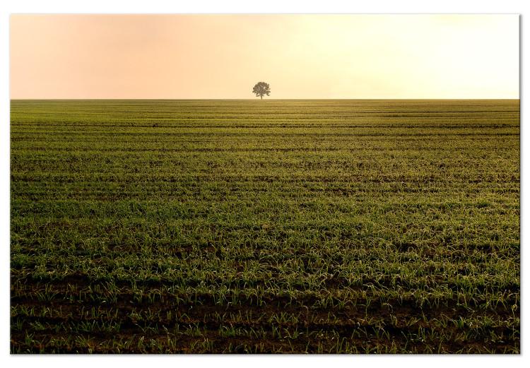 Canvas Endless fields - a minimalist landscape with a tree in the morning