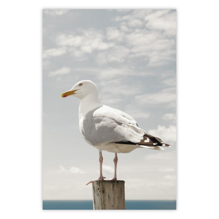 Poster Seagull - water bird sitting on a pier with sea and cloudy sky in the background