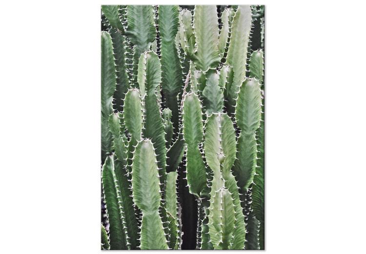 Canvas Cactus Garden (1 Part) Vertical