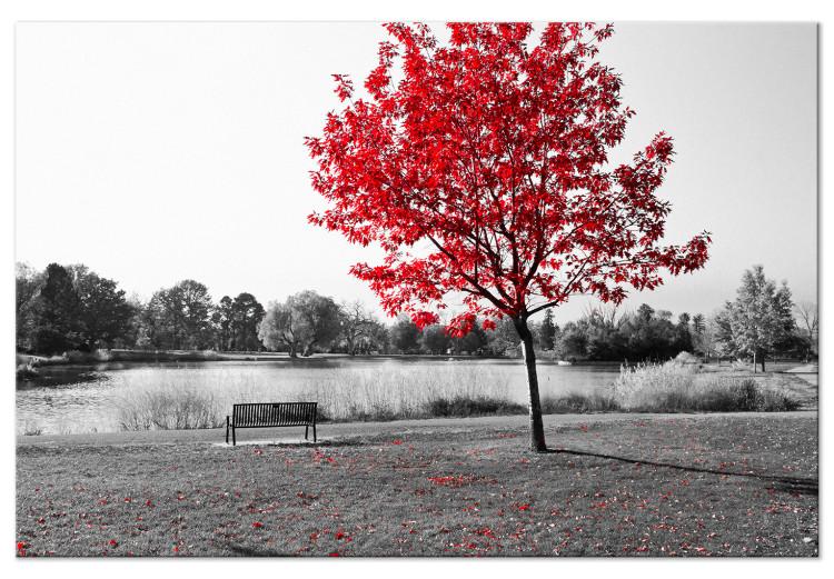 Canvas Autumn Tone (1-part) - Gray Photo of Red Tree