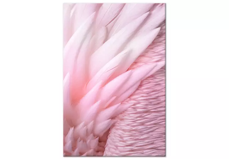 Canvas Pink feathers - the delicacy and subtlety of the unique bird nature