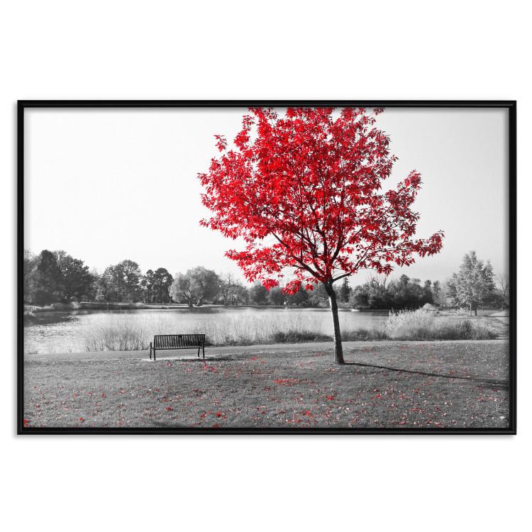 Poster Red Tree [Poster]