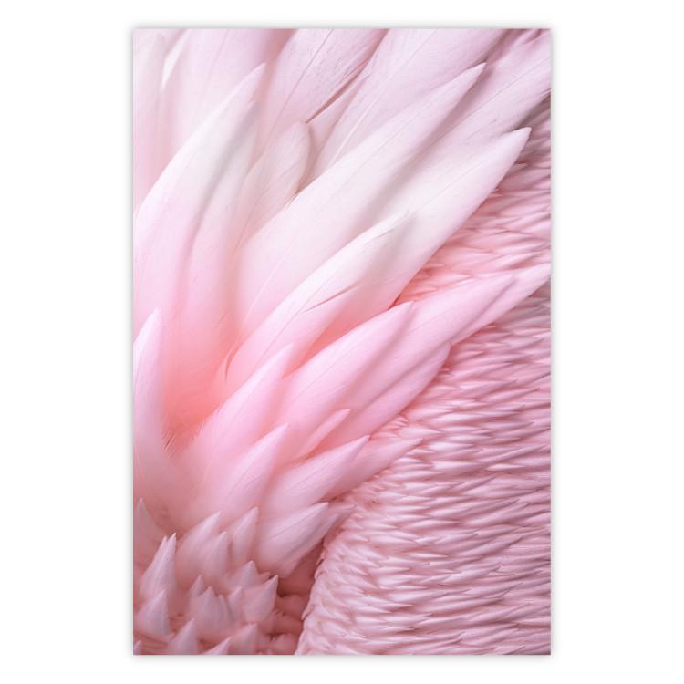 Poster Angelic Feathers - composition with delicate feathers in pink color