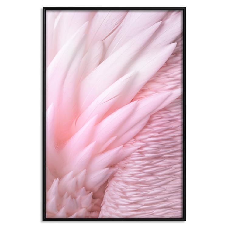 Poster Angelic Feathers - composition with delicate feathers in pink color