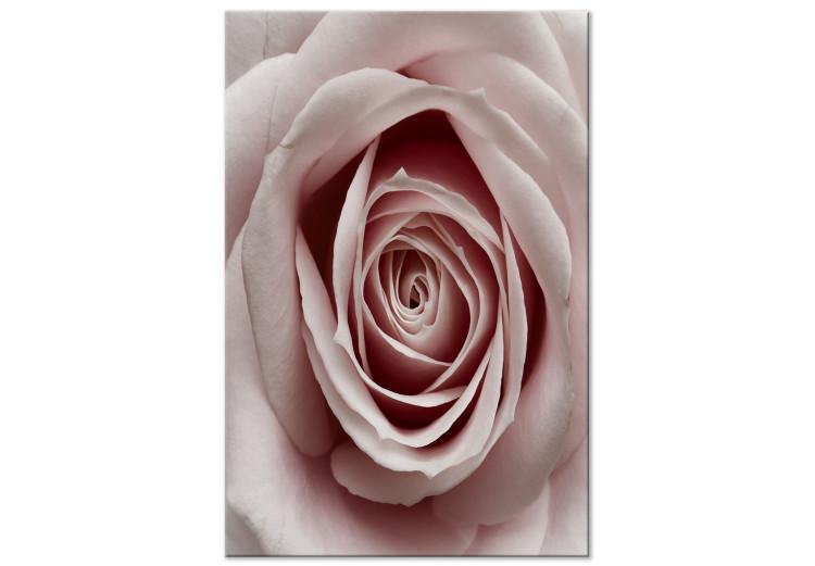 Canvas Pink Charm (1-part) - Blooming Rose in Pastel Shade