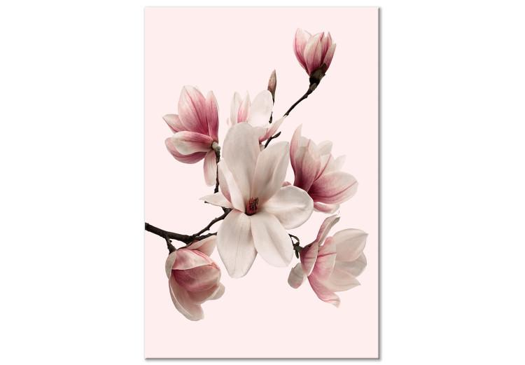 Canvas Spring Greeting (1-part) - Magnolia Flower in Delicate Hue