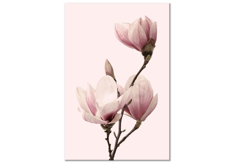 Canvas Breath of Spring (1-part) - Pink Magnolia Flower in Nature's Shade