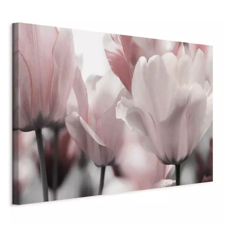 Spring Petals (1-part) - Tulip Flower in Pink Hue