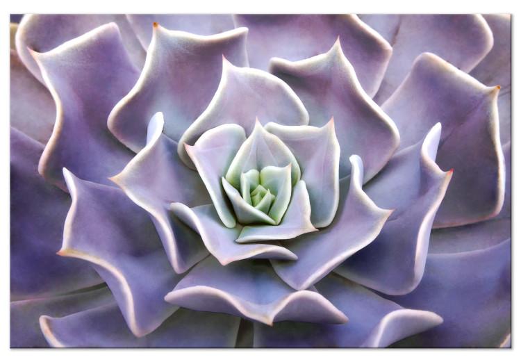 Canvas Purple Bloom (1-part) - Cactus Flower in Subtle Hue