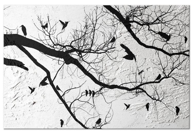Canvas Birds on a tree - black nature landscape on a concrete background