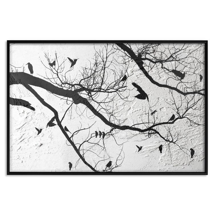 Poster Bird Encounter - black and white landscape of tree and birds on branches