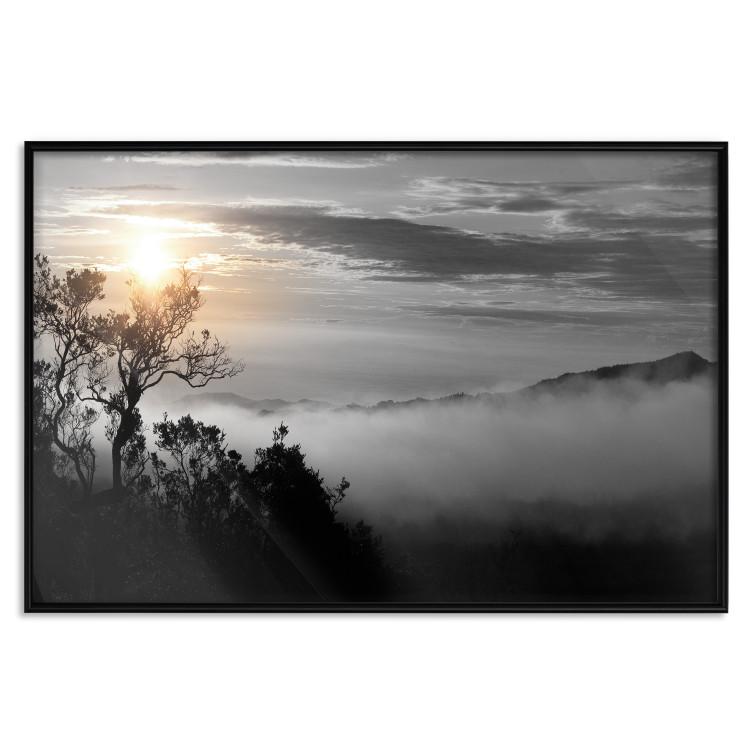 Poster Sunrise - dark landscape of trees against clouds and dense fog