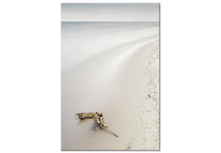 Canvas Scandinavian coast - calm sea and fine sand on the beach
