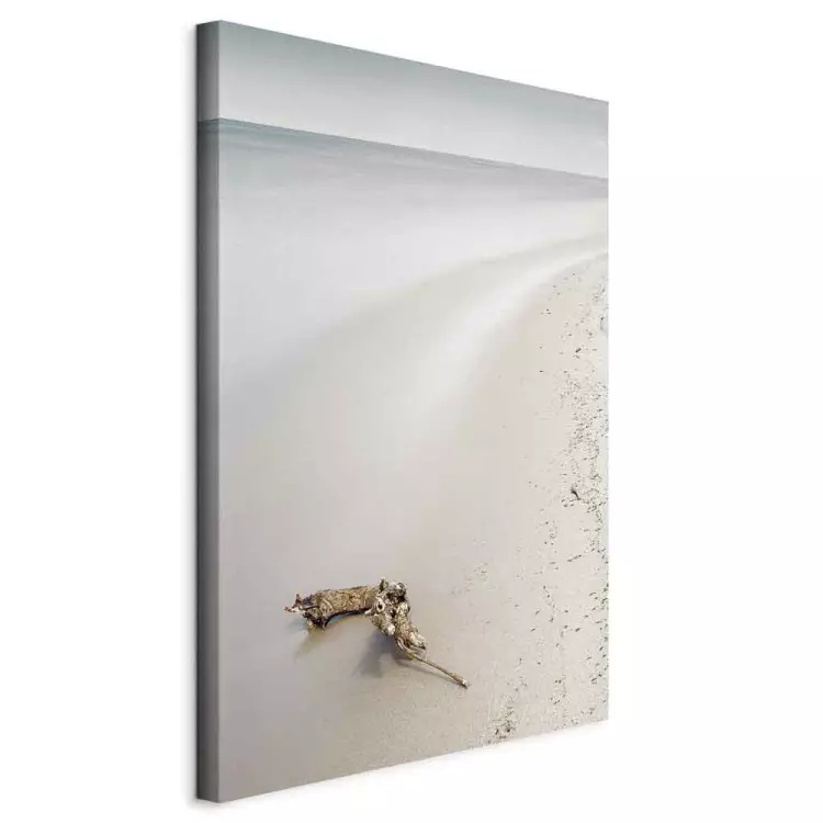 Scandinavian coast - calm sea and fine sand on the beach