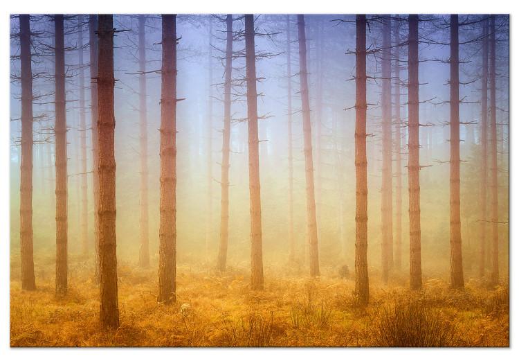 Canvas Trees in the fog - a forest landscape in warm, natural shades