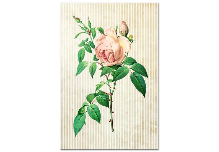 Canvas Delicate rose - thorny flower on a bright striped background