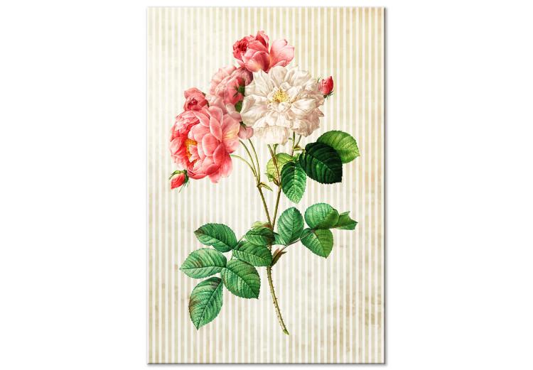 Canvas Colorful Roses in Retro Style (1-part) - Floral Nature Inspiration