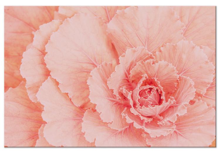 Canvas Delicate flower - a subtle plant in the color of natural pink