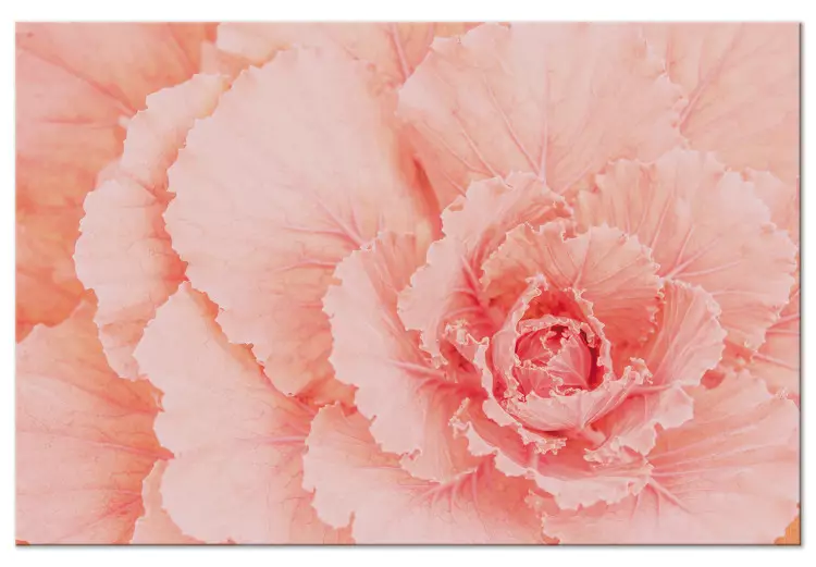 Canvas Delicate flower - a subtle plant in the color of natural pink