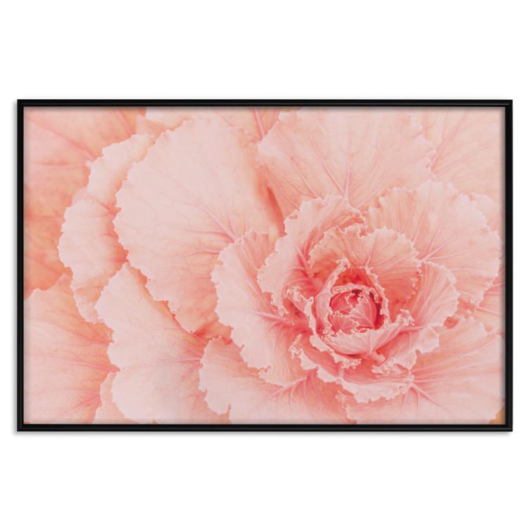 Poster Artistry of Delicacy - unique composition with pink flower petals