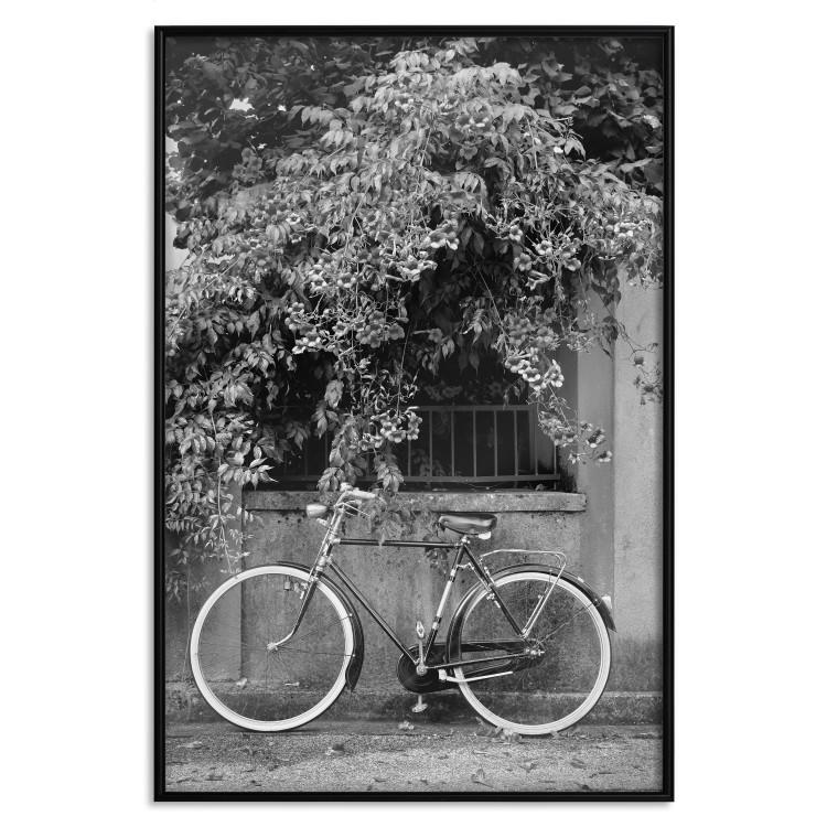 Poster Bicycle and Flowers - black and white urban landscape with a bike on the street