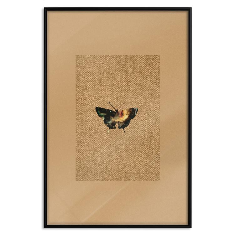 Poster Collector's Butterfly - autumn composition in brown color with an insect