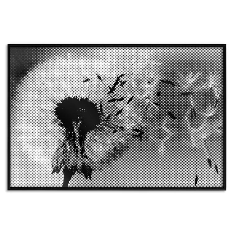 Poster Fleeing Memory - black and white composition with scattered dandelions