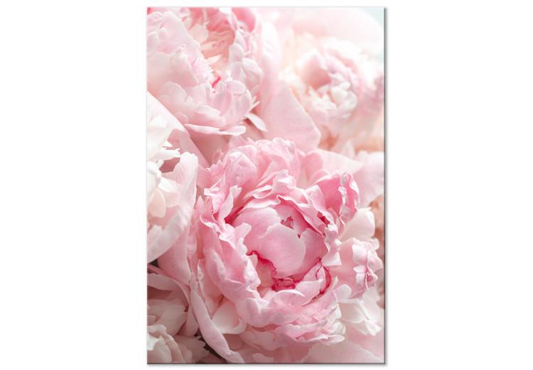 Canvas Blossoming Colors of Nature (1-part) - Peony Flower in Shades of Pink