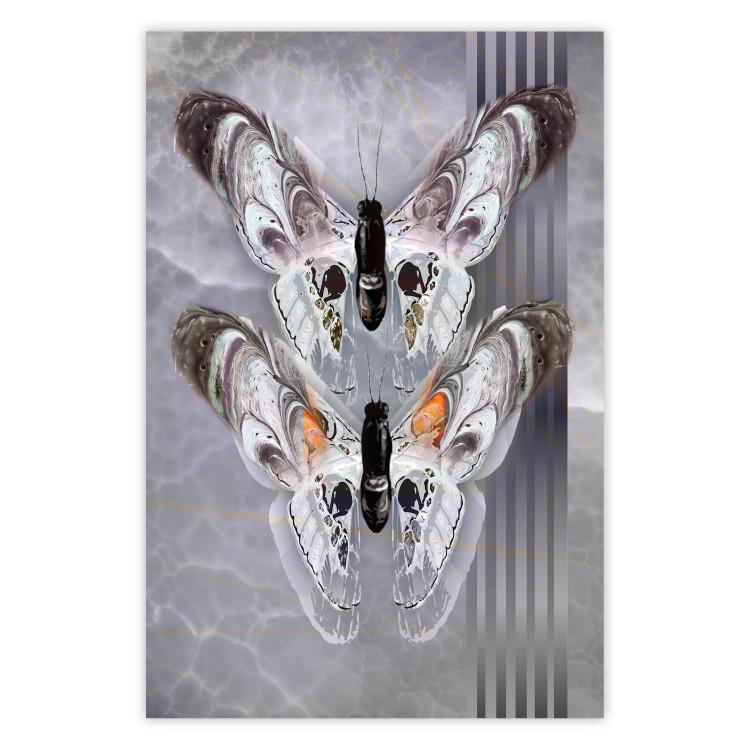 Poster Pair of Butterflies - modern composition with insects on a non-uniform background