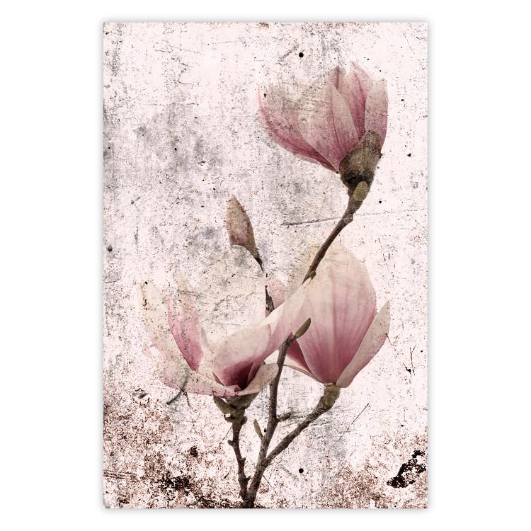 Poster Mature Magnolia - vintage composition with flowers on a pastel background