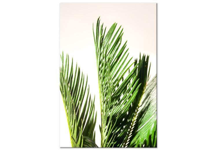 Canvas Three palm leaves - leaves of a tropical tree rustling on the wind on a beige background