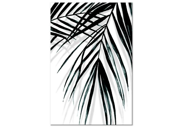 Canvas Relax under the palm - leaves of a tropical plant in a black and white minimalist style