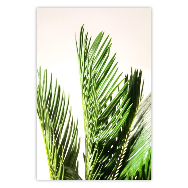 Poster Plant Detail - botanical composition with green leaves on a light background