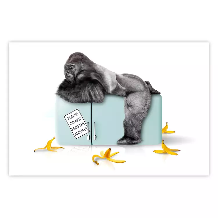 Poster Hungry Gorilla - humorous composition with a wild monkey and banana peels