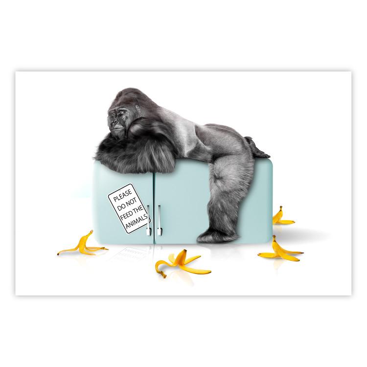 Poster Hungry Gorilla - humorous composition with a wild monkey and banana peels