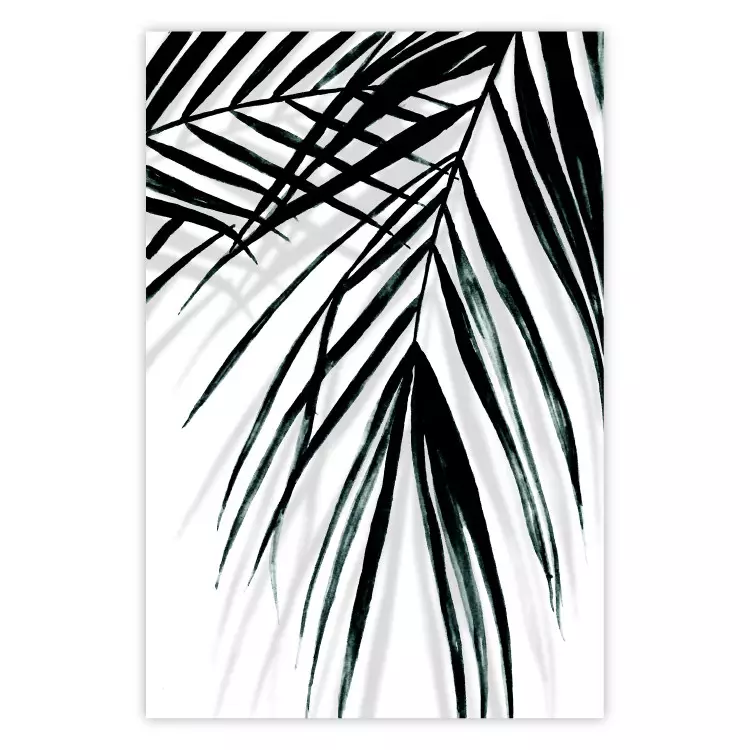 Poster Palm Relaxation - black and white composition with tropical plant leaves