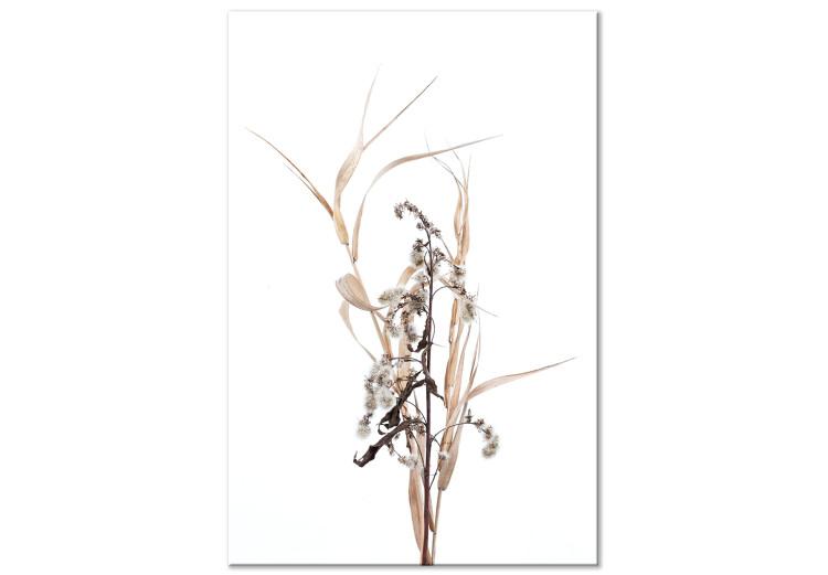 Canvas Memories of autumn - a minimalistic plant motif in the scandi style