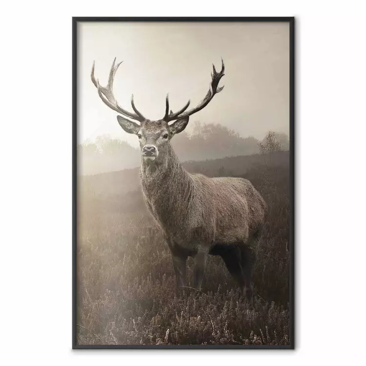 Sepia Deer - autumn landscape with an animal amid field grass