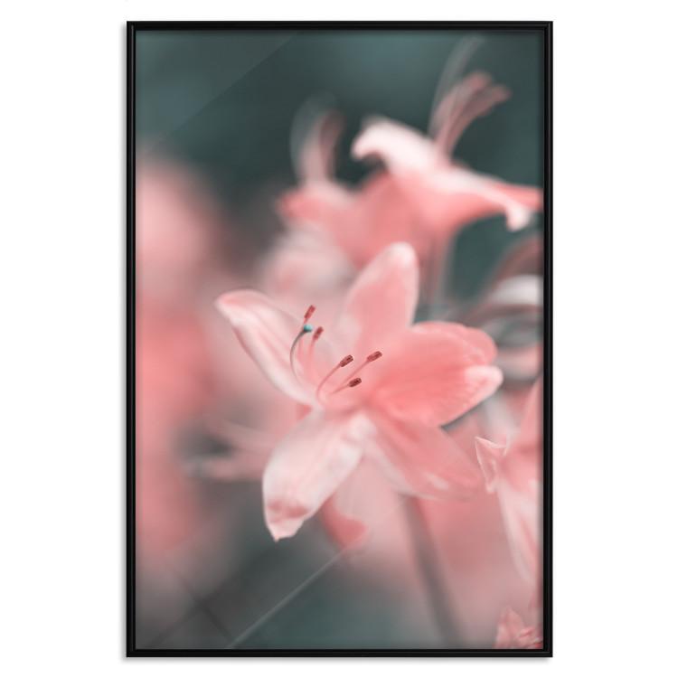 Poster Pastel Flowers [Poster]