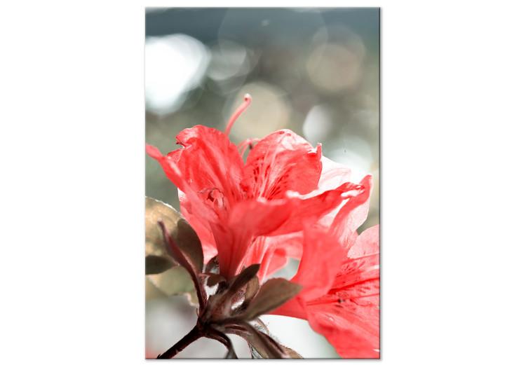 Canvas Hibiscus red - a minimalist photo of a twig and flowers