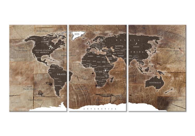 Canvas World Map: Wooden Mosaic (3 Parts)