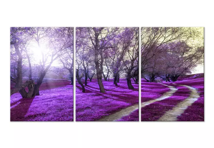 Canvas Purple alley - forest landscape with lavender plain and sunlight