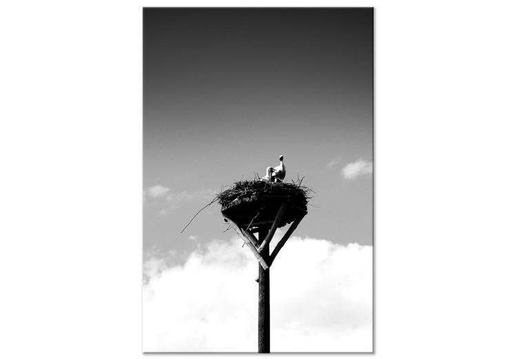 Canvas Parental horizons - black and white photography with birds and sky